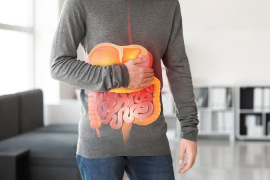 GASTRO KIT